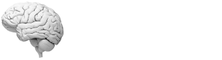 sinapsis consultores logo