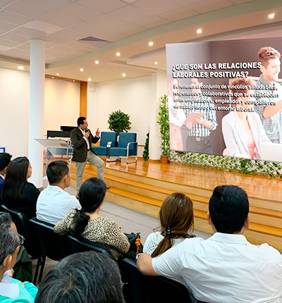 sinapsis consultores quienes somos 2