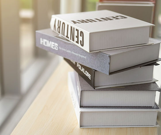 sinapsis consultores servicios 7